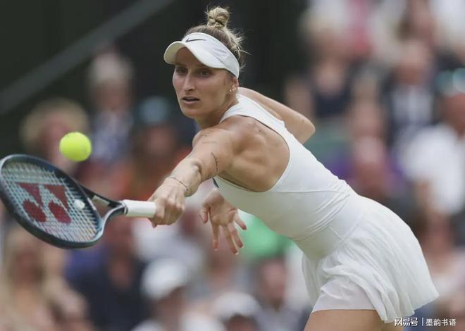 级内线球员 级内线球员