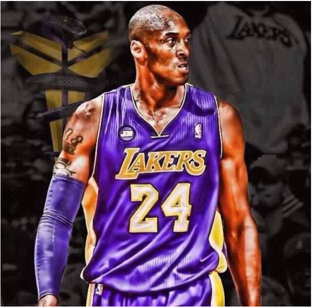 外线的组织 外线的组织